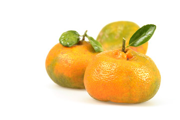 Naturally Ripened Tangerines
