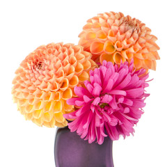 Three dahlias