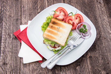 Fresh Sandwich on a plate