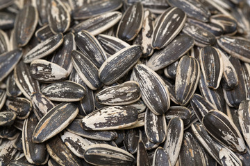 sunflower seeds background