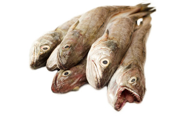 Merluzzi freschi crudi - fresh cod