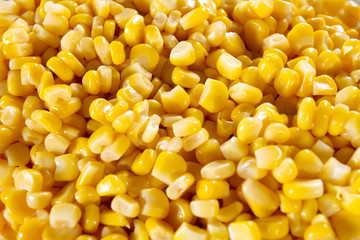 corn texture, showing body of yellow corn seed