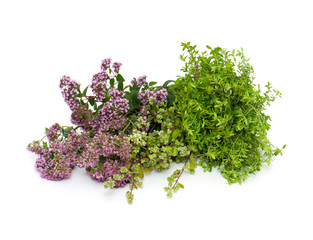 Obraz premium marjoram,oregano and thyme