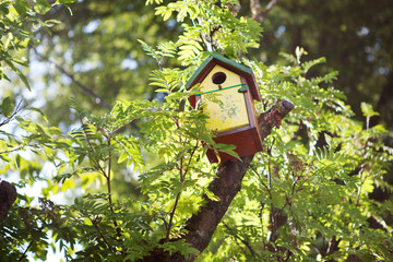 nesting-box
