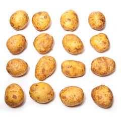 Fototapeta premium White Potatoes isolated on a white studio background.