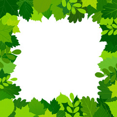 green leaves frame