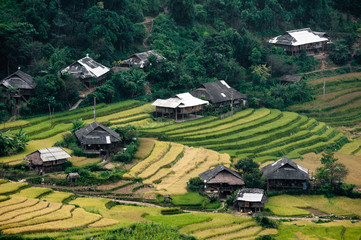 Dorp in de terrasvormige velden, district Mu Cang Chai, Yen Bai p
