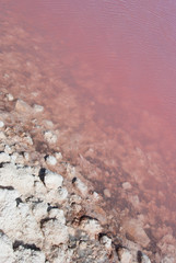 Strange colored Water at Pink Lake, Western Australia