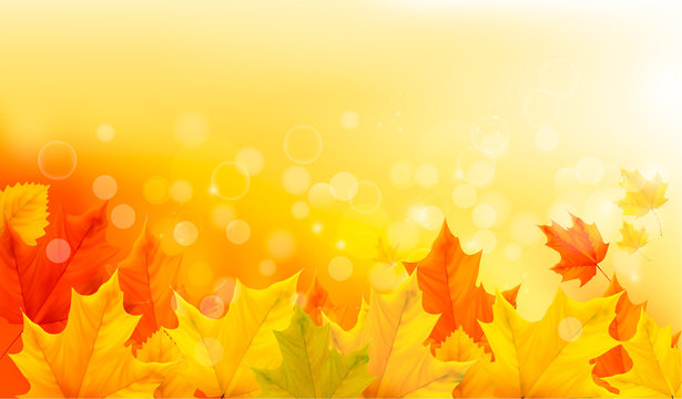 Autumn background with yellow leaves and hand.