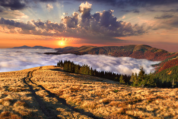 Colorful autumn landscape in the mountains. Sunrise