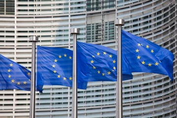 Abwaschbare Fototapete Brüssel Europaflaggen in Brüssel