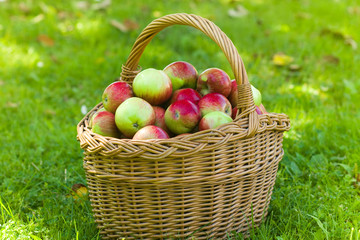 Apples