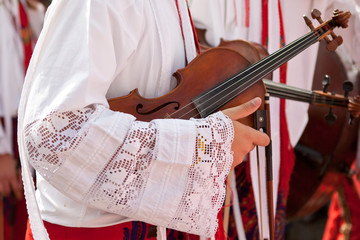 Details of violin