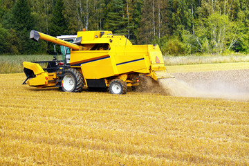 Combine harvester in use