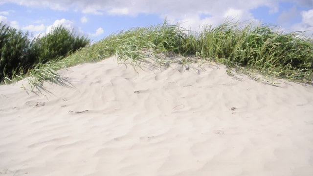 Wind fegt &uuml;ber Sandd&uuml;ne