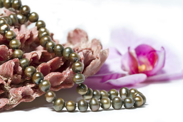 Collier de perles , coquillage et orchidée
