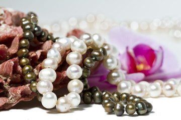 Collier de perles , coquillage et orchidée