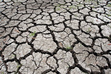 Cracked soil ground 
