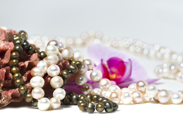 Collier de perles , coquillage et orchidée