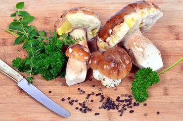 Pilze Steinpilz