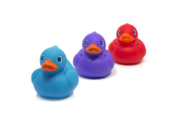 blue pink and red bath duck