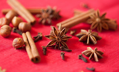 Variation of Christmas spices - star anise, cinnamon sticks and