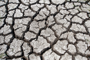 Cracked soil ground 