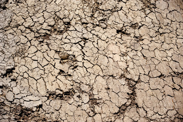Cracked soil ground 