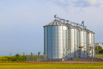 Fototapeta na wymiar srebrne silosy w polu kukurydzy