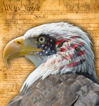 Aguila con bandera americana y documentos históricos.