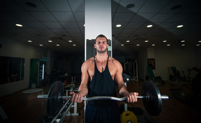 Fototapeta na wymiar Gym training workout