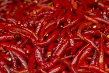 Lots of red chili on street market