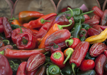 various hot peppers