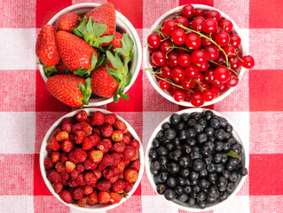 Wild berries in bowls