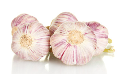 young garlic isolated on white background