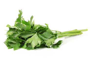 Fresh celery isolated on white