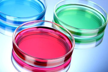 color liquid in petri dishes on blue background