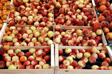 Marché de Boulouris: pommes