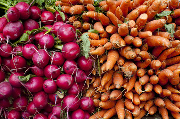 carrots and radishes