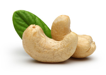 Cashew and leaves