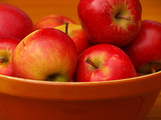 Apfel 16