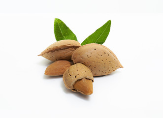 almonds and leaves