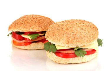 Appetizing sandwiches isolated on white