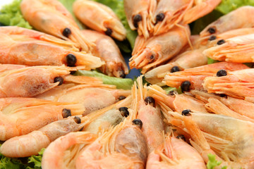 Boiled shrimps with lettuce leaves, close up
