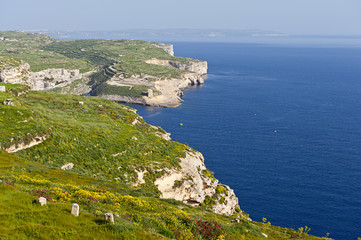 Gozo coastline