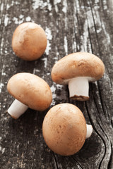 Braune Champignons