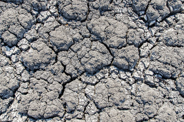 dry cracked earth as texture