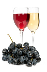 red and white wine with grapes
