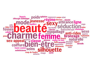 Nuage de Tags 