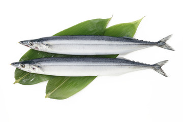 笹の敷葉とサンマ